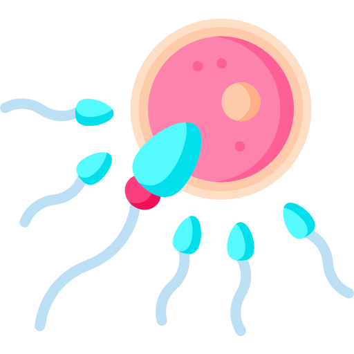 Santé sexuelle et reproductive